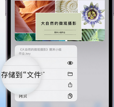 佛山apple维修中心分享iPhone文件应用中存储和找到下载文件