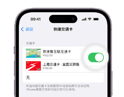 佛山apple维修点分享iPhone上更换Apple Pay快捷交通卡手绘卡面 