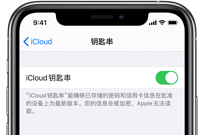 佛山苹果手机维修分享在 iPhone 上开启 iCloud 钥匙串之后会储存哪些信息 