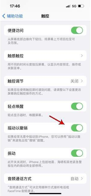 佛山苹果手机维修分享iPhone手机如何设置摇一摇删除文字 