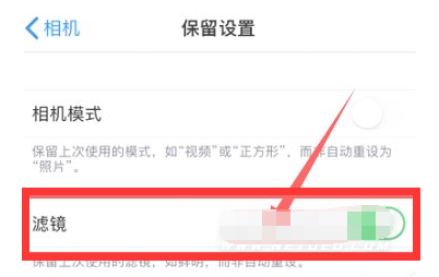 佛山苹果13维修分享iPhone13拍照有绿点是怎么回事 