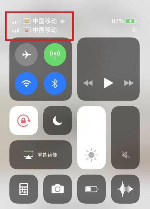 佛山苹果手机维修分享为 iPhone 12 双卡设置标签 