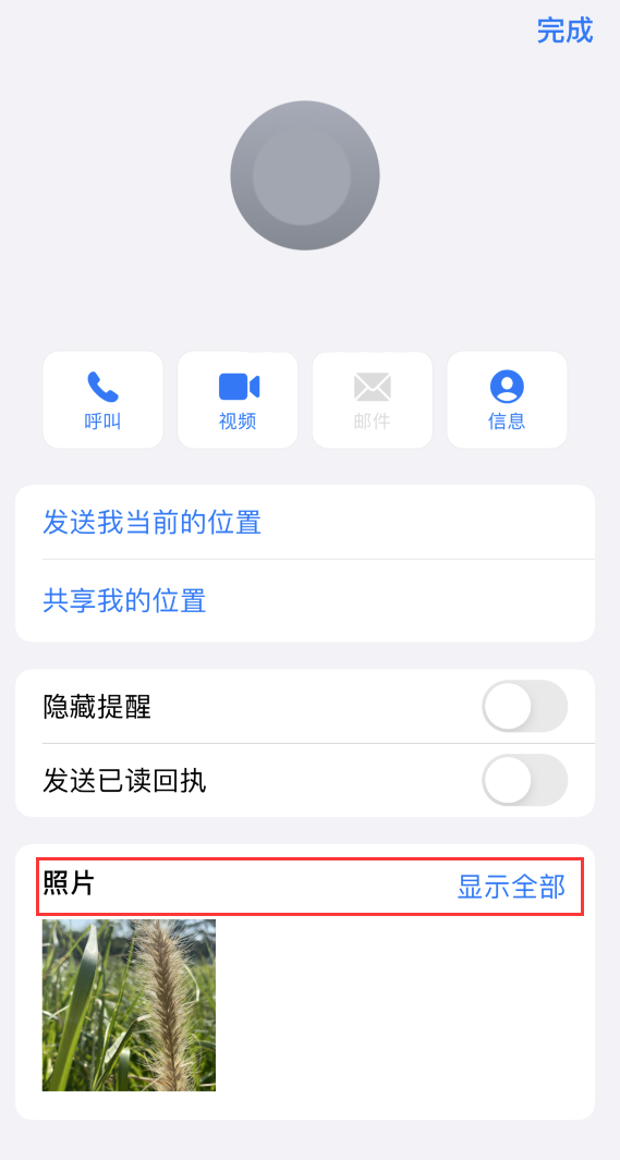 佛山苹果手机维修分享如何快速查找 iMessage 信息中的图片等附件 