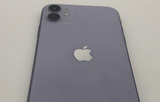 佛山苹果11系统维修分享iPhone11手机系统崩溃无法开机如何解决 